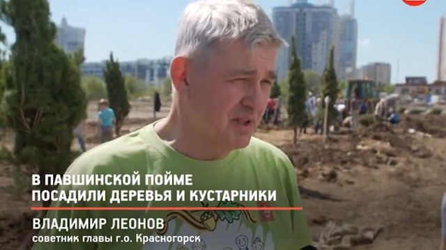 КРТВ. В Павшинской пойме посадили деревья и кустарники смотреть онлайн