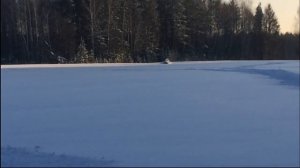 Снегоход тайга по свежему снегу