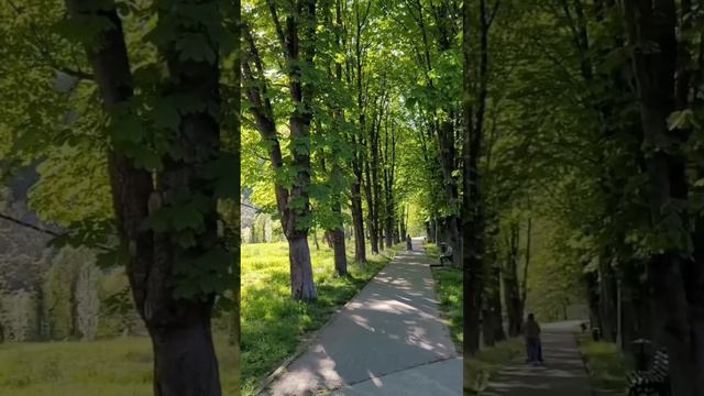 Архипо-Осиповка апрель 2024 года 🌿 Прогулка в окрестностях реки Вулан 💦 смотреть онлайн