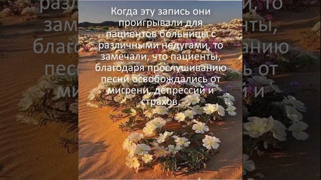 Ave Maria ( АВЕ МАРИЯ) на арамейском языкеYouTube смотреть онлайн