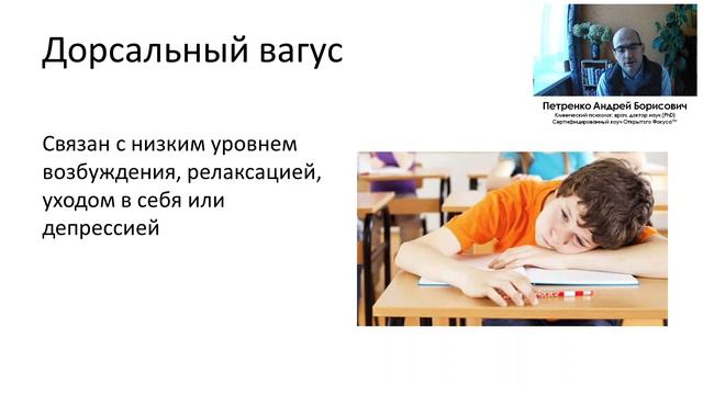 Как регулировать детские эмоции смотреть онлайн