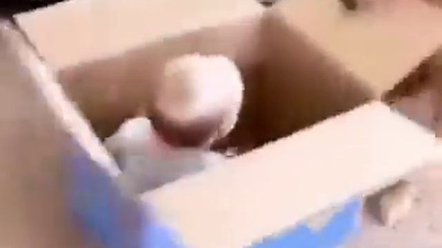 Собака и малыш в коробке. Собака настоящий друг в любой ситуации. смотреть онлайн