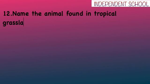 Class7 | Geography | chapter 6 | Natural Vegetation and Wildlife | NCERT | Multiple choice question смотреть онлайн