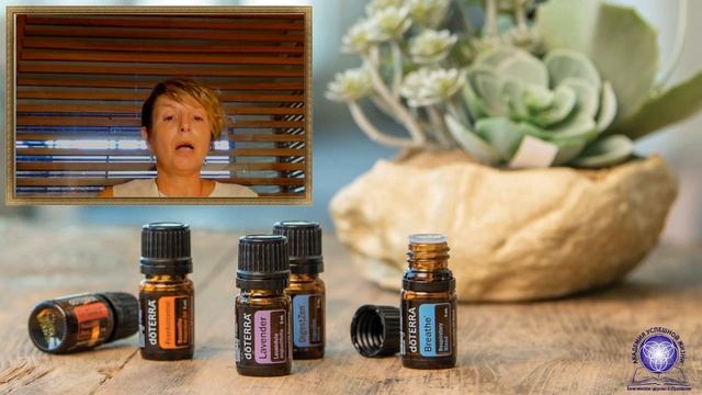 Головной мозг и эфирные масла смотреть онлайн