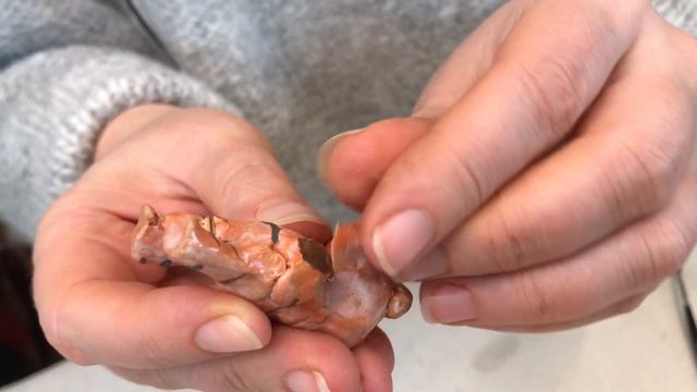 ? Полное руководство по бесшовной склейке разбитой керамики Гончарная школа Волшебство керамики смотреть онлайн