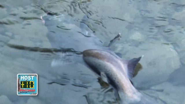 Sportfishing Adventures S02E11 Pitt River Lodge смотреть онлайн