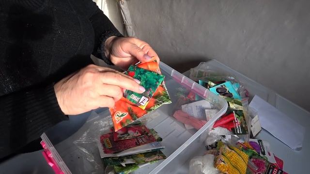 ЕЩЕ ОДНУ НЕ ВЫКОПАЛИ, А УЖЕ СЕЕМ ДРУГУЮ ПОД ЗИМУ??? УКРАШАЕМ ДОМ ✨✨✨ смотреть онлайн