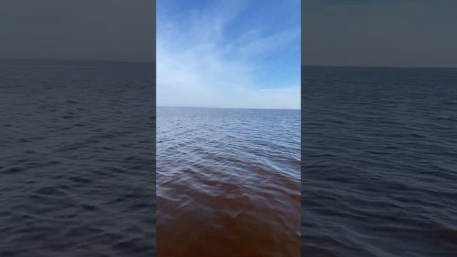 Финский залив смотреть онлайн