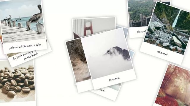 Photo film gallery смотреть онлайн