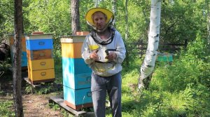 По не многу обо всём