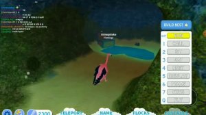 Показываю и рассказываю про обновления в мире птиц.(Feather Family в Roblox)#4