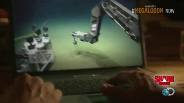 Megalodon Shark Caught On Camera 62 Feet Long Shocking смотреть онлайн