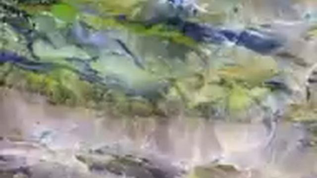 Все тайны космоса Часть 2 смотреть онлайн