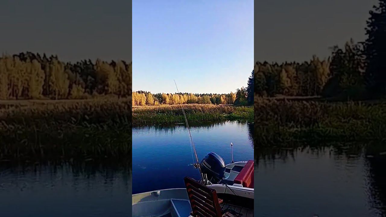 КРАСОТА ВОЛГИ.....ОКТЯБРЬ.... ОСЕНЬ смотреть онлайн