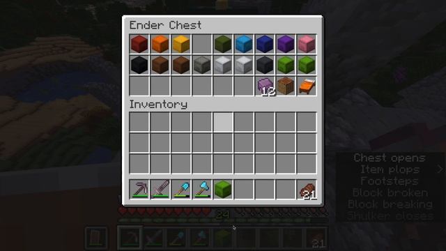 What To Put In An ENDER CHEST!