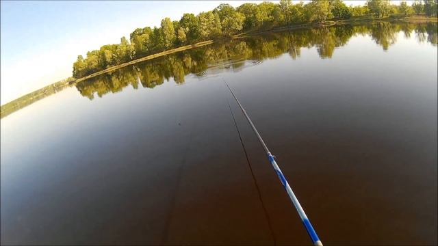 Рыбалка маховой удочкой. Залив Верблюд, Оболонь, Киев. Май 2017 смотреть онлайн