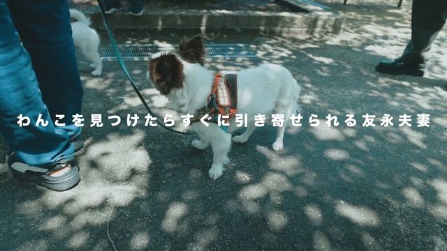 【コラボ撮影】昼間の光でも美しく撮影するコツ、教えます【しんめぐの日常コラボ】 смотреть онлайн