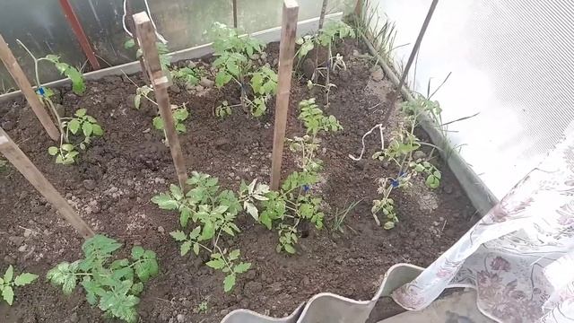 Майские на даче. Продолжение. смотреть онлайн