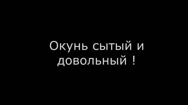 КАННИБАЛИЗМ - ПОЕДАНИЕ СЕБЕ ПОДОБНОГО. Кормлю хищника - хищником !!! смотреть онлайн