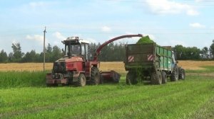 УЭС-280 «Полесье» подкашивает траву на корм скоту