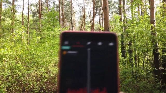 Как я создавал музыкальный трек Forest Adventures для будущего альбома смотреть онлайн