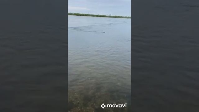 Сорога. Ангара. Рыбалка в июне 2021 г. смотреть онлайн