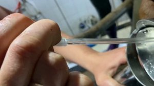 Осеменяем корову искусственно!