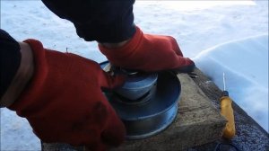 Вариатор форвард.