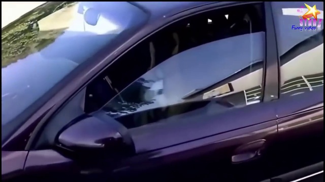 Смешное Видео Приколы 