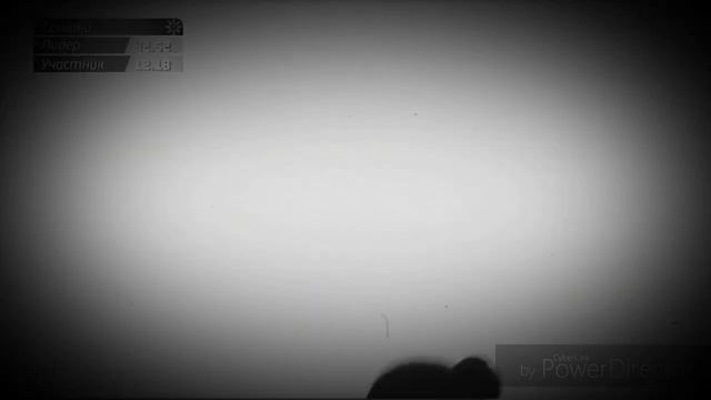 Александра Трусова, Алена Косторная, Анна Щербакова смотреть онлайн