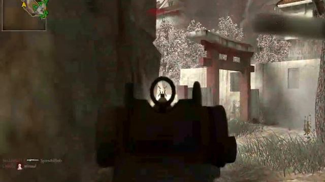 Call Of Duty WaW M1Garand смотреть онлайн
