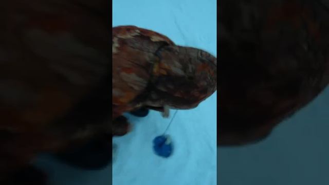 Рыбалка Ско смотреть онлайн