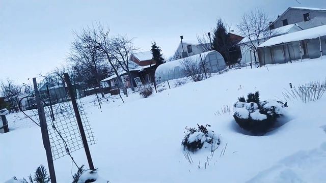Дача. Зима 2021 смотреть онлайн