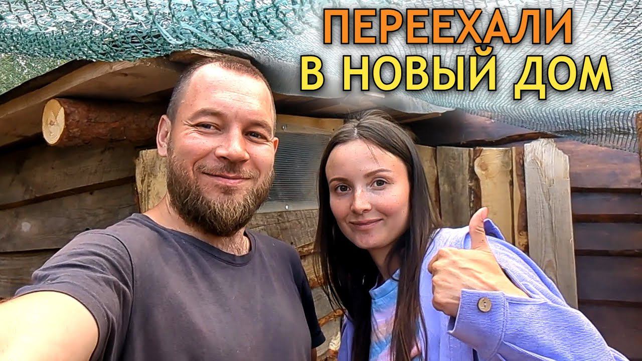 ИЗ КЛЕТКИ В НОВЫЙ ДОМ. ПОЛНОСТЬЮ ДОСТРОИЛИ ДОМИК И ПЕРЕСЕЛИЛИСЬ. ЕЩЕ 60 ЯИЦ СИДЯТ В ИНКУБАТОРЕ смотреть онлайн