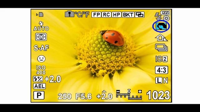 Olympus Pen Series 05 by Quickpro Camera Guides смотреть онлайн