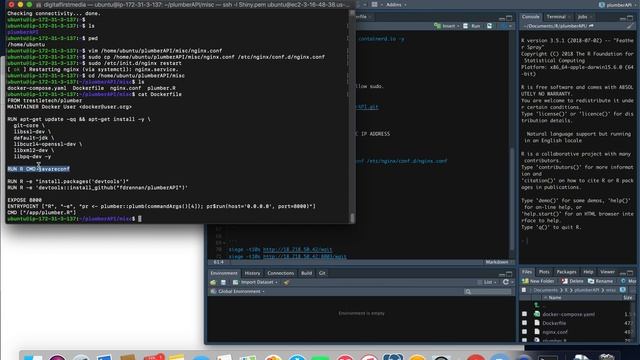 Load balanced R plumber API with NGINX смотреть онлайн
