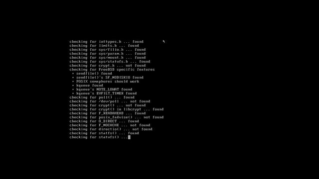 [ NGINX ] Create Your Own Web Server in FreeBSD by Nicholas Lee Fagan смотреть онлайн