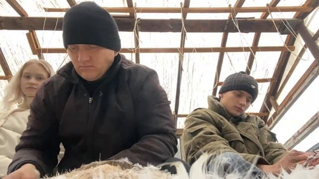 Щипаем гусей и уток. Челлендж 24 часа. смотреть онлайн