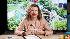 Зона отдыха на даче. Как создать РАЙСКИЙ УГОЛОК на участке 6 СОТОК. Сам себе ландшафтный дизайнер.