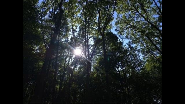 Private Presley - (Peach Pit) -Acoustic Cover, Matthew Lomax смотреть онлайн