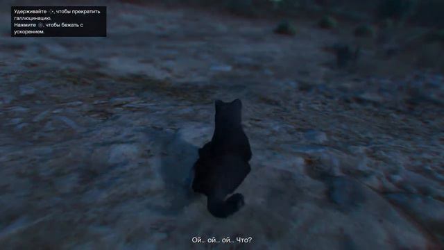 Все лофофоры в GTA 5