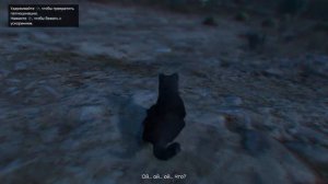 Все лофофоры в GTA 5