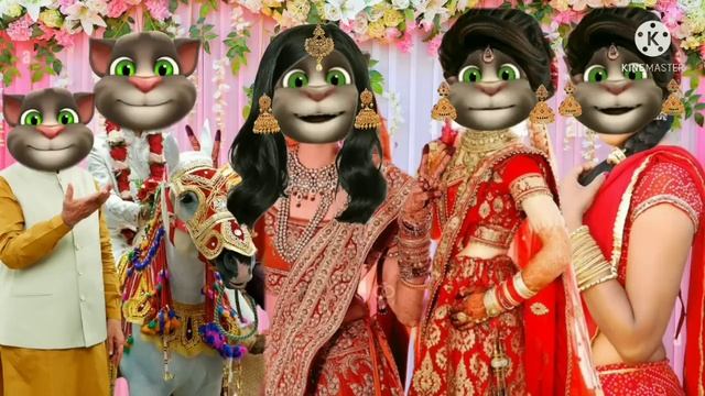 समंधी के मजेदार गारी गीत || समंधी गारी गीत || गारी गीत || भोजपुरी गीत || billu bhojpuriya || смотреть онлайн