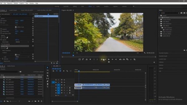 Как Применить Эффекты ко всем клипам сразу в Premiere Pro