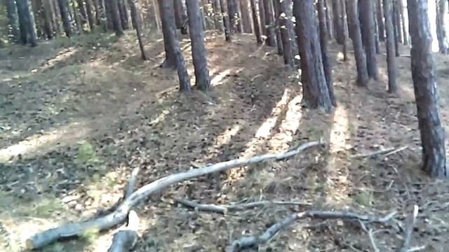 Дальняя дача смотреть онлайн