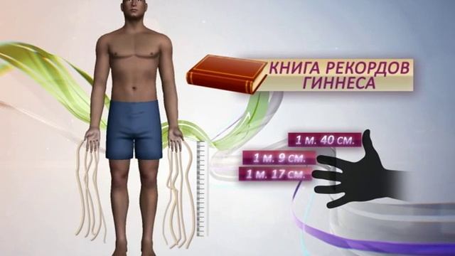 Ногти, когти и копыта. Популярная наука с Анной Урманцевой. смотреть онлайн