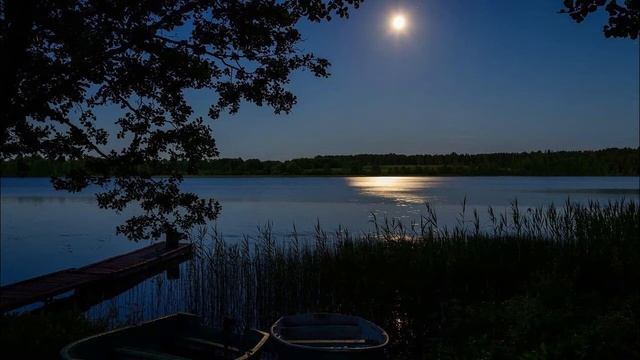 Лечебный Сон Ночь в Деревне Сверчки Пруд Звезды Тишина 5 минут для засыпания смотреть онлайн