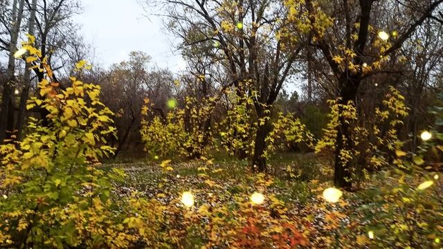 Богачка в роддоме отказалась кормить ребёнка. И его пришлось отдать на кормление беднячке смотреть онлайн