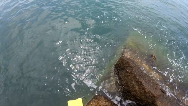 Верши на хлеб. Черное море. Абхазия. Ловля рыбы и крабов на Черном море. смотреть онлайн