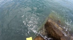 Верши на хлеб. Черное море. Абхазия. Ловля рыбы и крабов на Черном море.